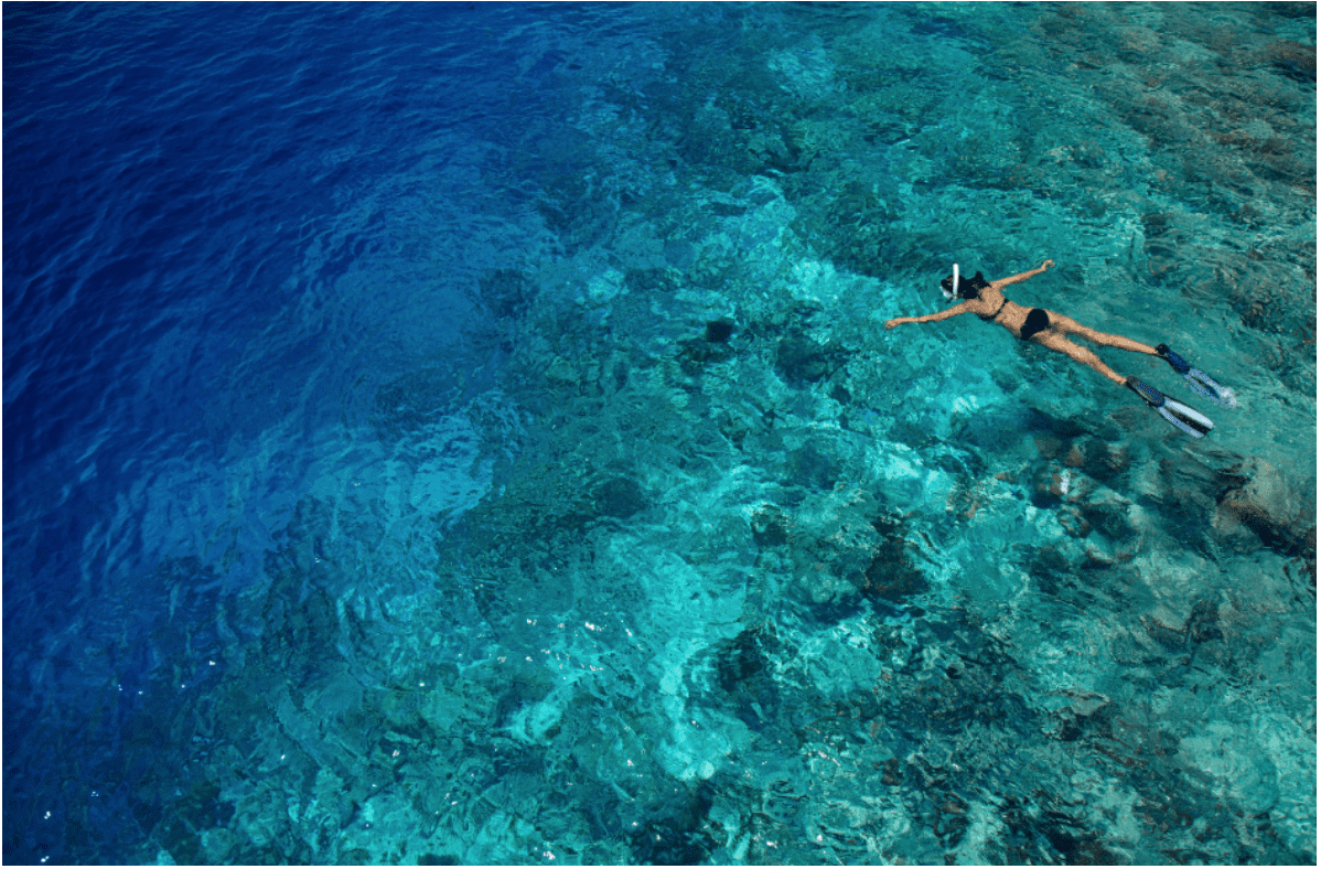 SNORKELLING EXCURSIONS