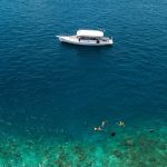 (English) OCEAN SIGNATURE SNORKELING