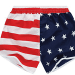 (English) Board Shorts