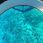 (English) Glass Bottom Boat Looker 370