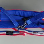Parasail Harness