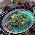 Glass bottom boat LOOKER 440GB