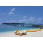 Pedal Boat – Sunny Mouse – 2 person